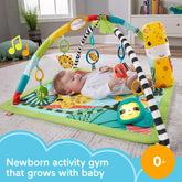 Fisher Price 3in1 Rainforest Sensory Gym HJW08 - Colorland Toys
